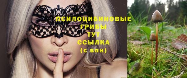 a pvp Абинск